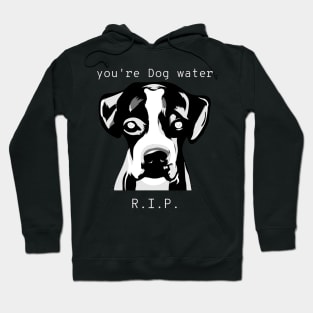 dog water 11 Hoodie